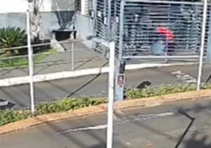 Jovem de 19 Anos é Agredida pelo Ex-Namorado em Condomínio: Um Retrato da Violência Doméstica Jovem de 19 Anos é Agredida pelo Ex-Namorado em Condomínio: Um Retrato da Violência Doméstica