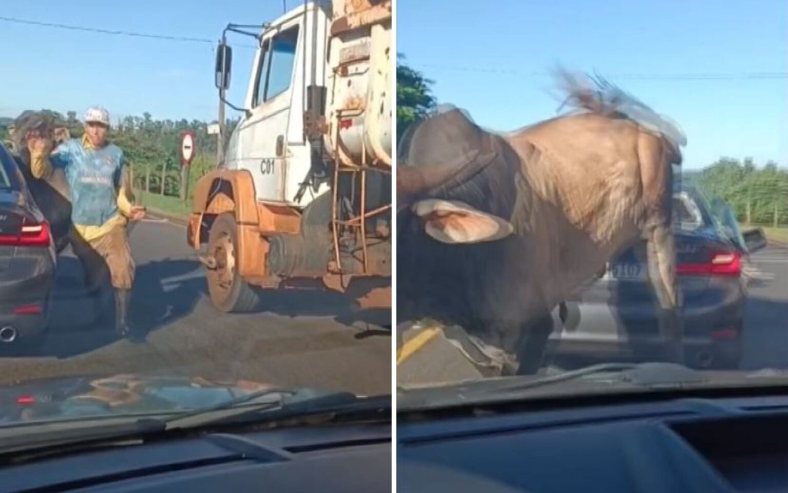 Touro solto em avenida de Ribeirão Preto causa acidente com BMW e avança sobre homem