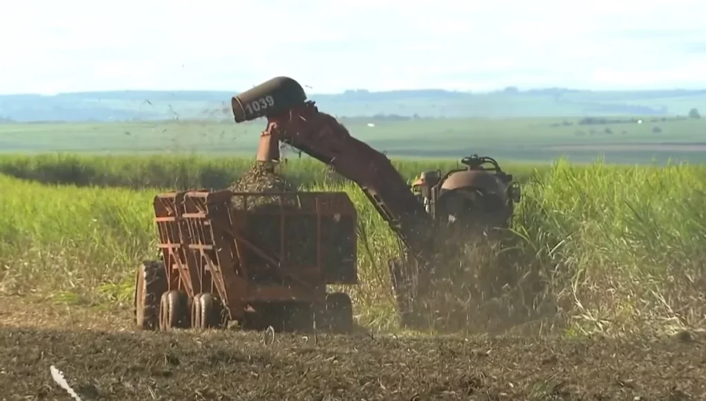 Acordo Mercosul-União Europeia: Oportunidades para Ribeirão Preto
