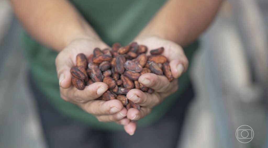 Da Fumaça ao Sabor: A Torrefação que Transforma o Café Especial Da Fumaça ao Sabor: A Torrefação que Transforma o Café Especial