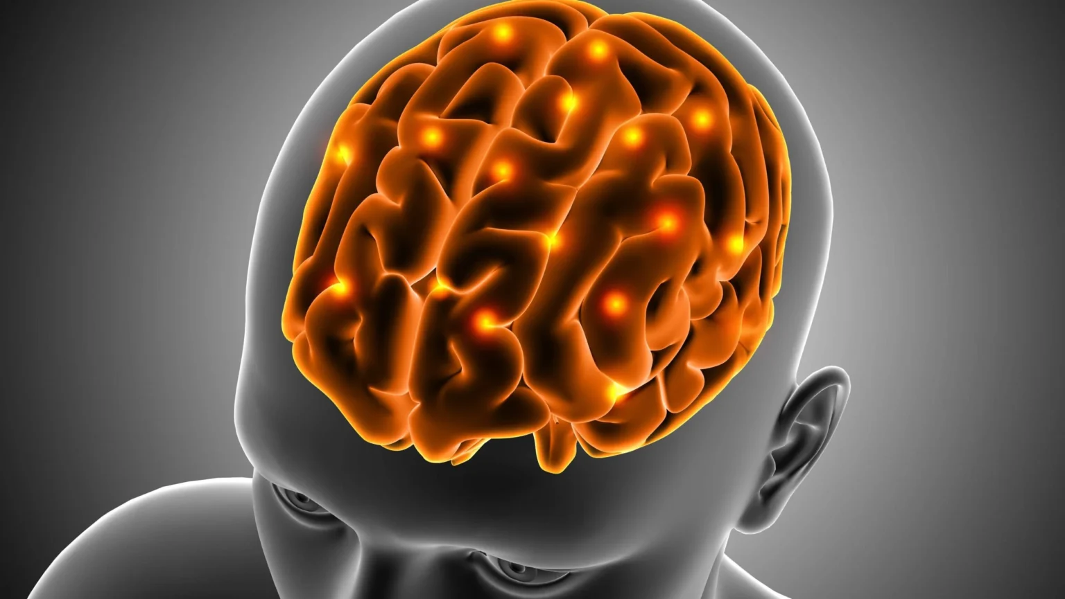 Descoberta Revolucionária: Cientistas Induzem Estado de Torpor no Cérebro Humano Descoberta Revolucionária: Cientistas Induzem Estado de Torpor no Cérebro Humano