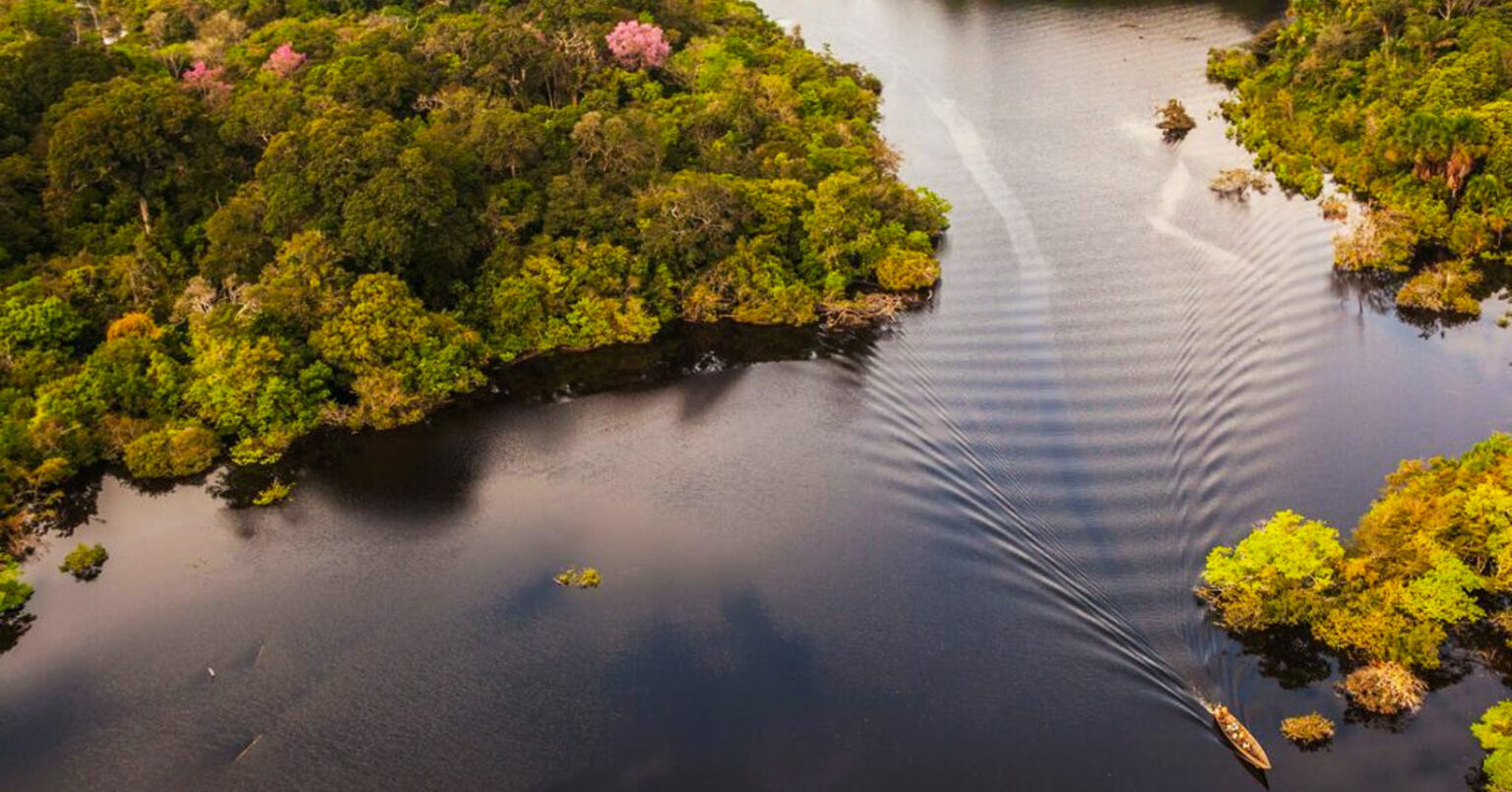 Explorando a Amazônia: Passagens Aéreas para Manaus, Belém e Santarém a Partir de R$ 435