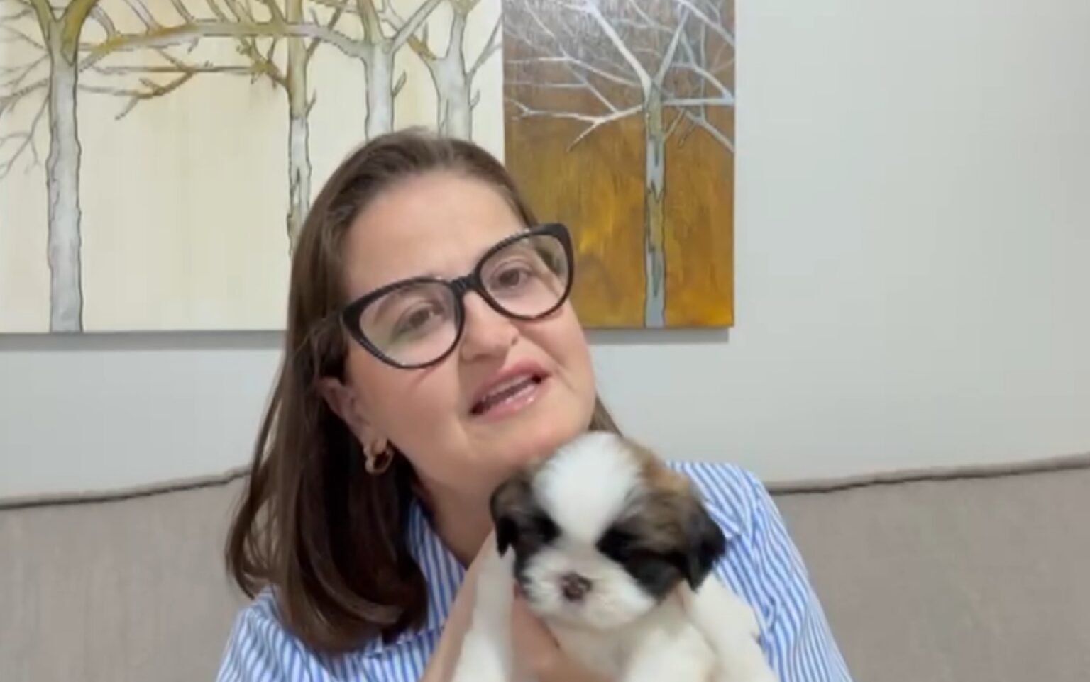 Família de Ribeirão Preto Recebe Filhote de Shih Tzu Após Trágico Ataque a Cachorro