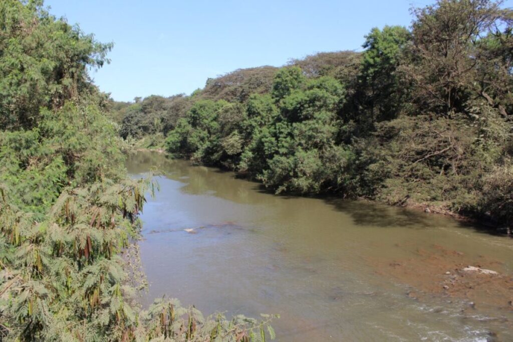 Legado dos Solos: A Influência da História na Conservação dos Rios