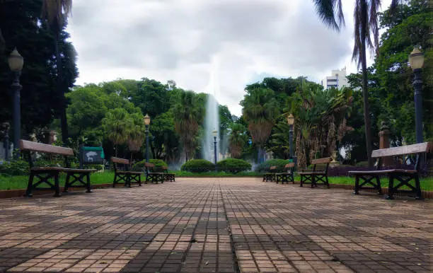 Ribeirão Preto: A Califórnia do Brasil e Seu Estilo de Vida Excepcional Ribeirão Preto: A Califórnia do Brasil e Seu Estilo de Vida Excepcional