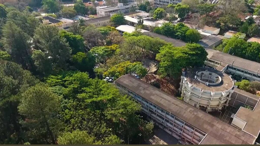 Ribeirão Preto: O Maior Polo Universitário do Brasil Atraindo Estudantes em Busca de Oportunidades