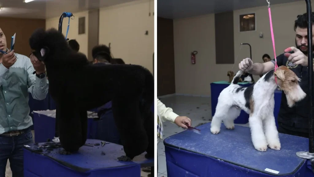 Ribeirão Preto Recebe a 4ª Edição do Ribeirão Groom Challenge com Juiz Internacional