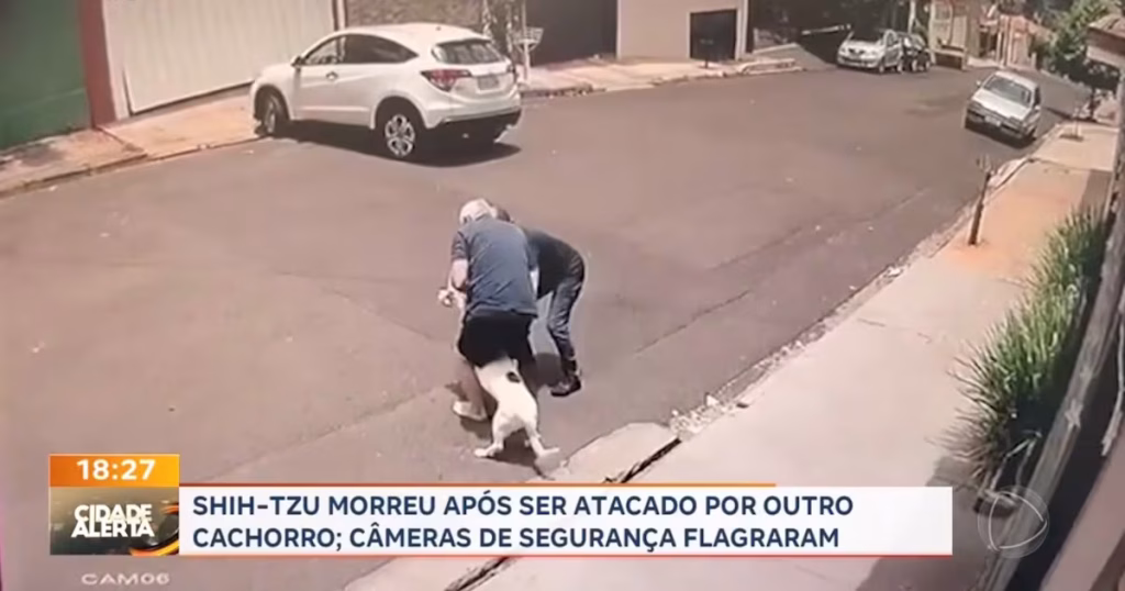 Tragédia em Ribeirão Preto: Shih Tzu Morre Após Ataque de Outro Cão