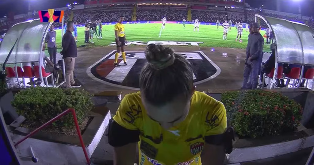 Árbitra Demora Quase Três Minutos no VAR para Decidir Pênalti em Botafogo-SP x Palmeiras Árbitra Demora Quase Três Minutos no VAR para Decidir Pênalti em Botafogo-SP x Palmeiras