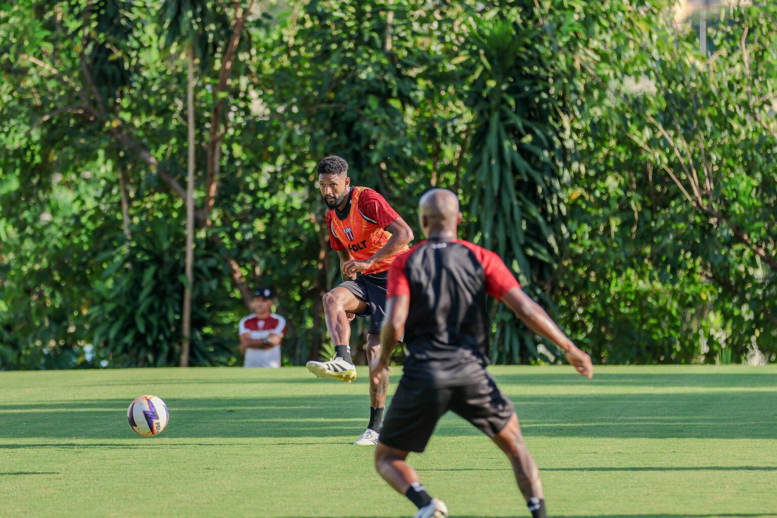 Botafogo-SP Começa Treinos para a Série B com Novidades no Elenco
