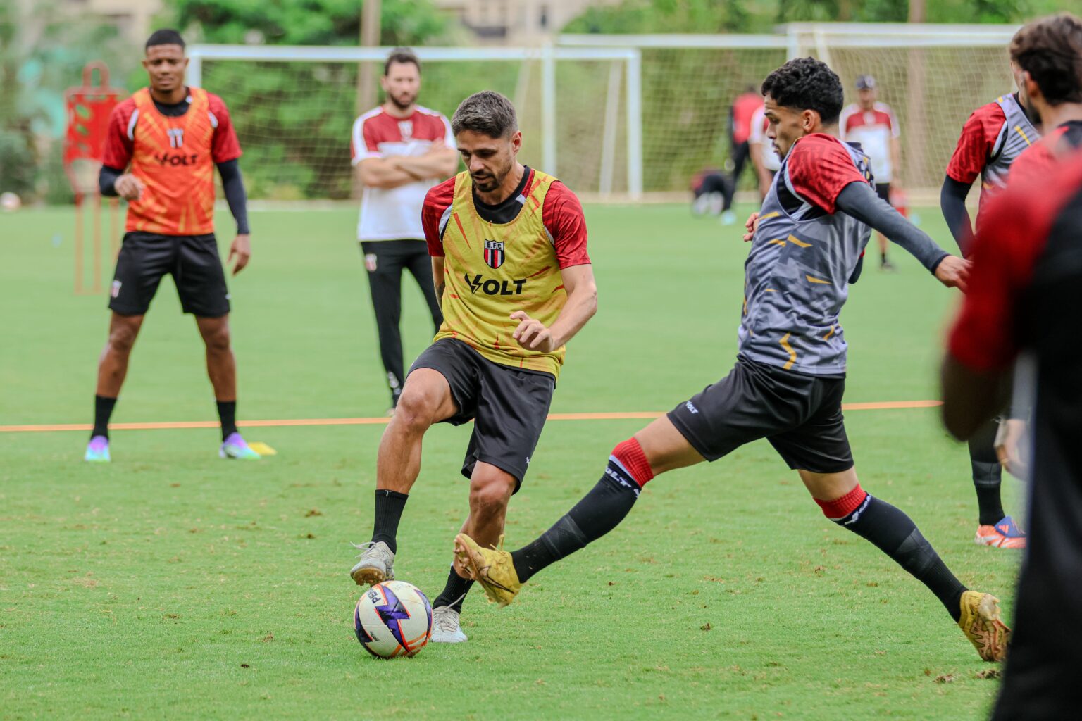 Botafogo-SP: Rafael Gava destaca chance de classificação decisiva com foco total