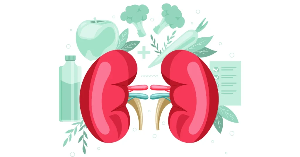 Brócolis: o aliado dos rins contra os danos do açúcar no sangue