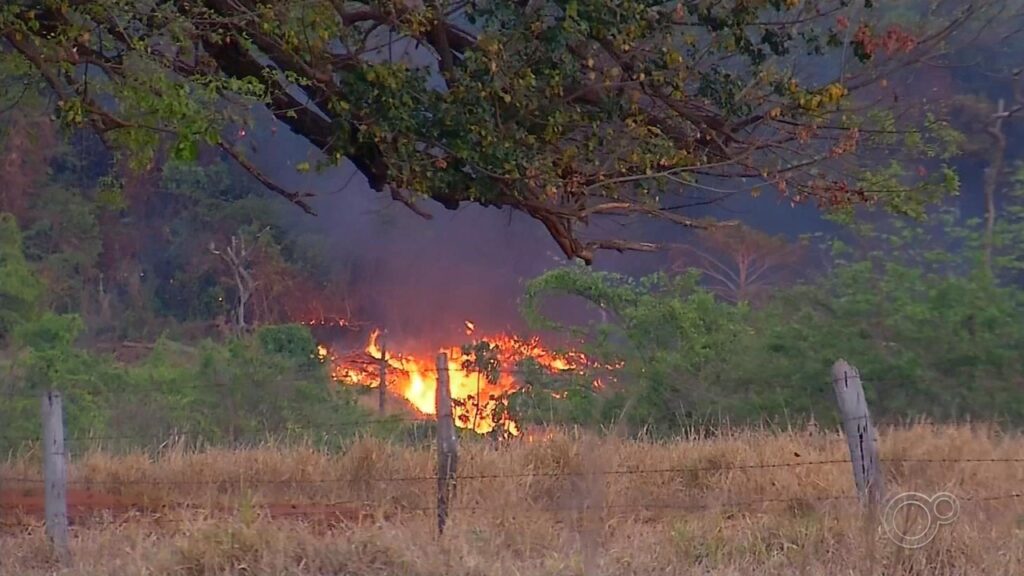 Governo de SP Anuncia Seleção para 243 Brigadistas Temporários na Luta Contra Incêndios