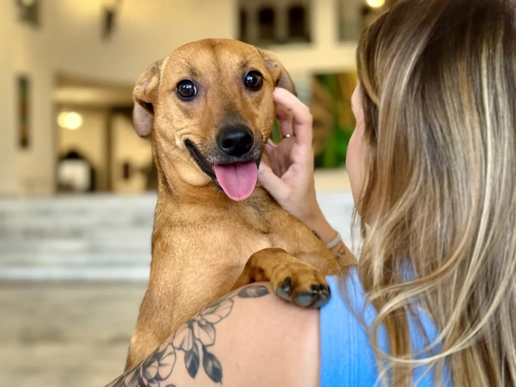 Sepultamento de Animais de Estimação em Jazigos Familiares é Liberado em SP