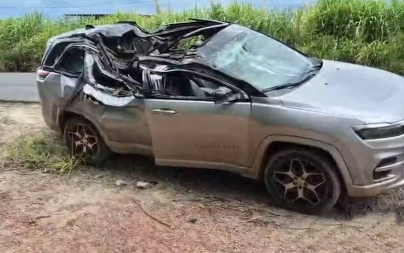 Tragédia em Minas Gerais: Bebê de 1 ano perde a vida após queda de eucalipto sobre carro Tragédia em Minas Gerais: Bebê de 1 ano perde a vida após queda de eucalipto sobre carro