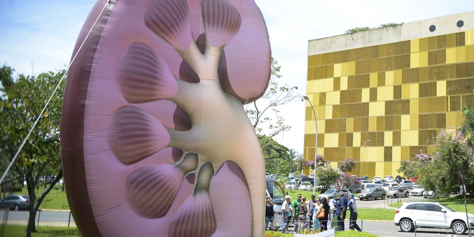 Dia Mundial do Rim: Importância do Diagnóstico Precoce para a Saúde Renal