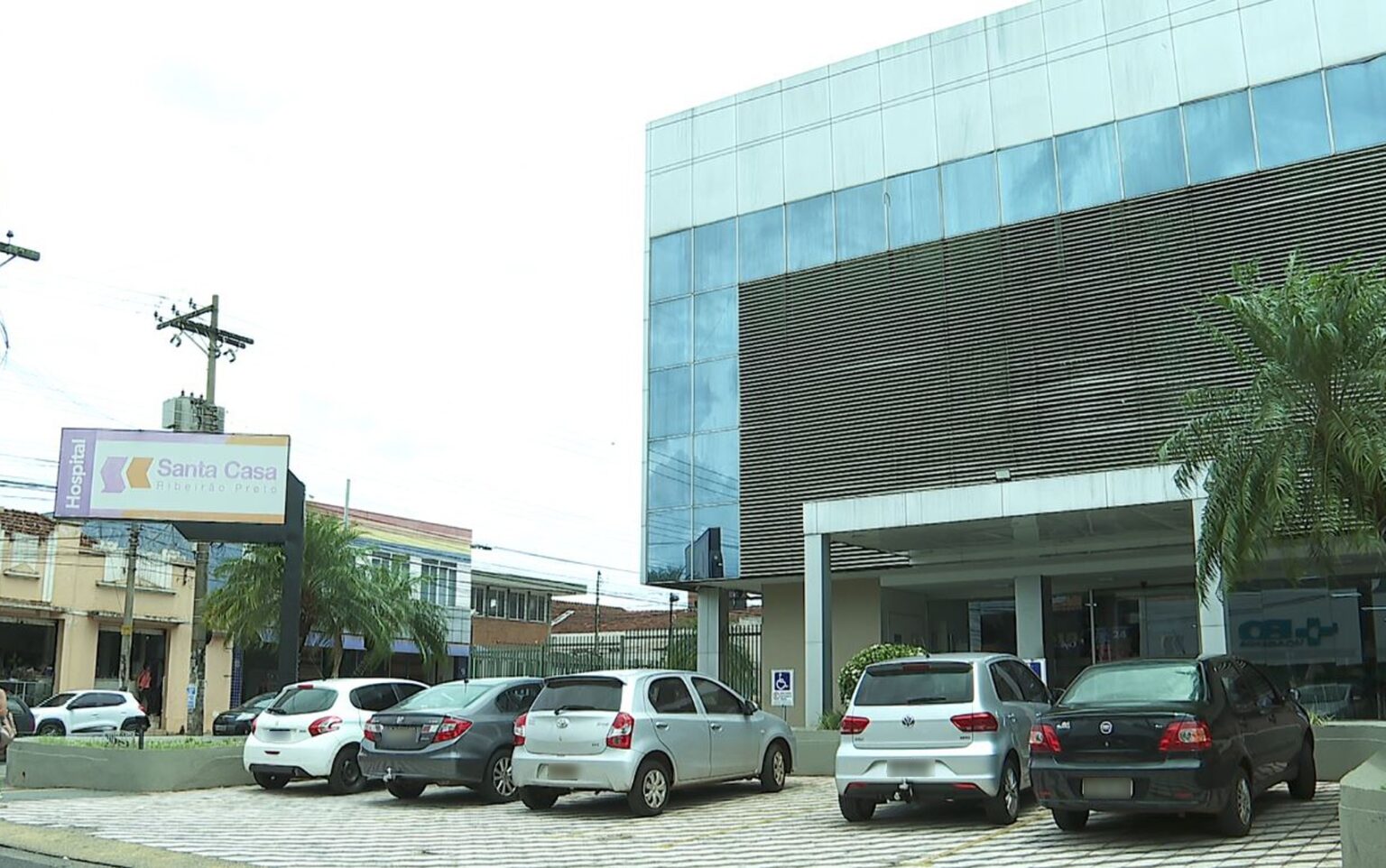 Idosa de 86 Anos se Recupera Após Cirurgia em Ribeirão Preto: Larvas na Gengiva Levam a Intervenção