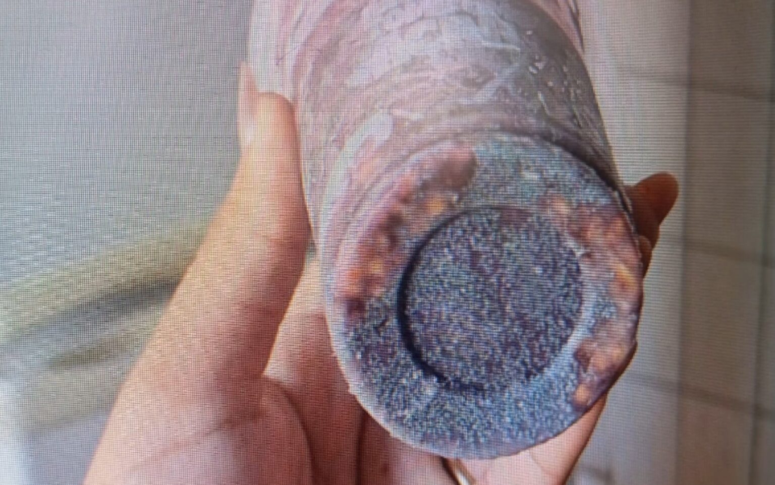 Suspeita de Envenenamento: Jovem Hospitalizado Após Consumir Açaí com Chumbinho em Ribeirão Preto