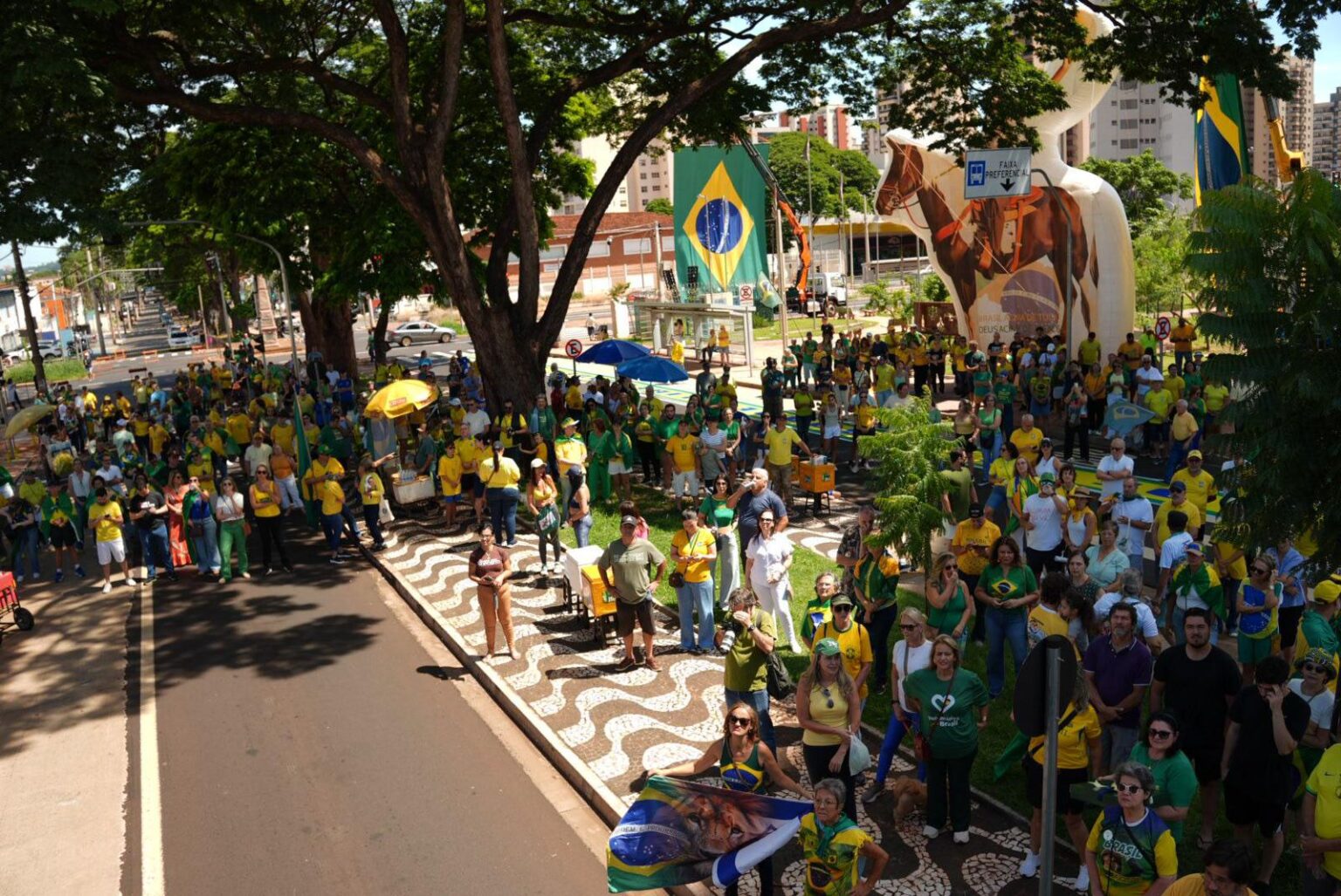 Tiago Junqueira Participa de Manifestações em São Paulo Representando o Piauí