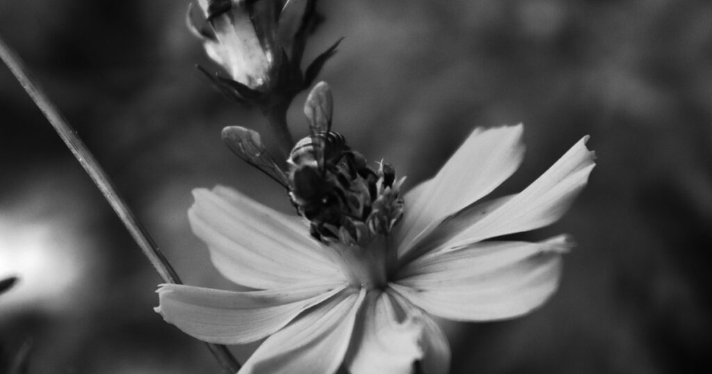 USP Ribeirão Preto: Inscrições Abertas para Oficinas Culturais em 2026