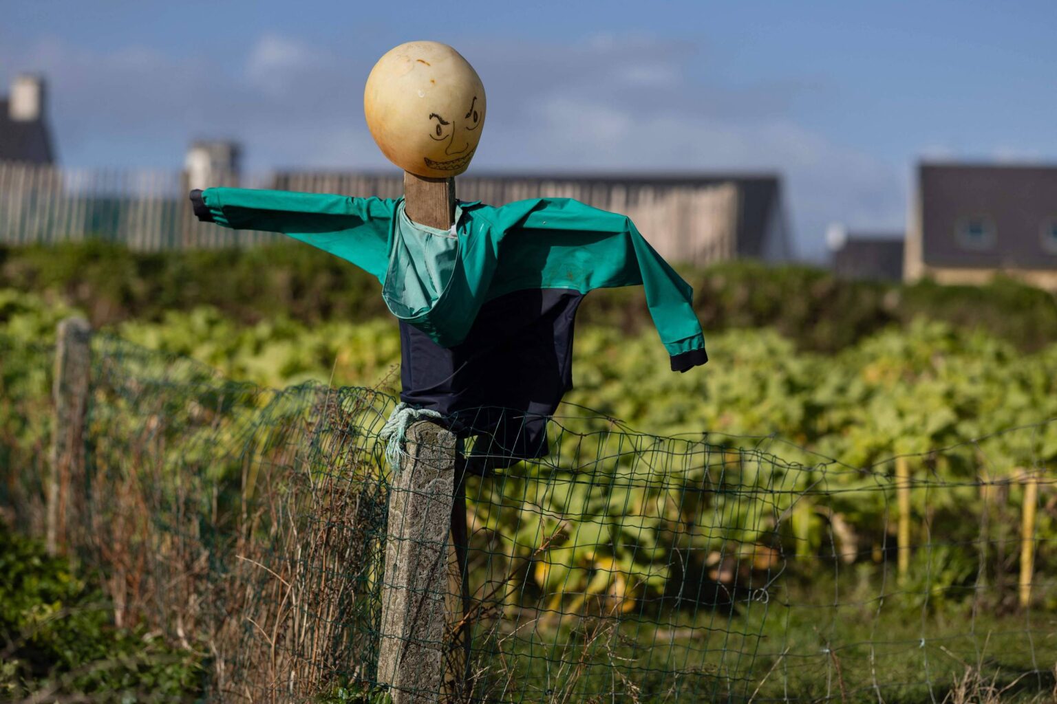 Espantalhos no Debate Econômico: Uma Reflexão Atual sobre Políticas no Brasil