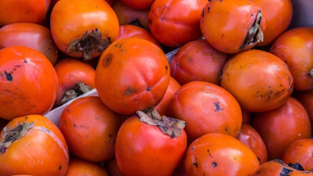 Expectativa de Safra de Caqui em Itatiba Cresce 20% e Produtores se Preparam para Incêndios