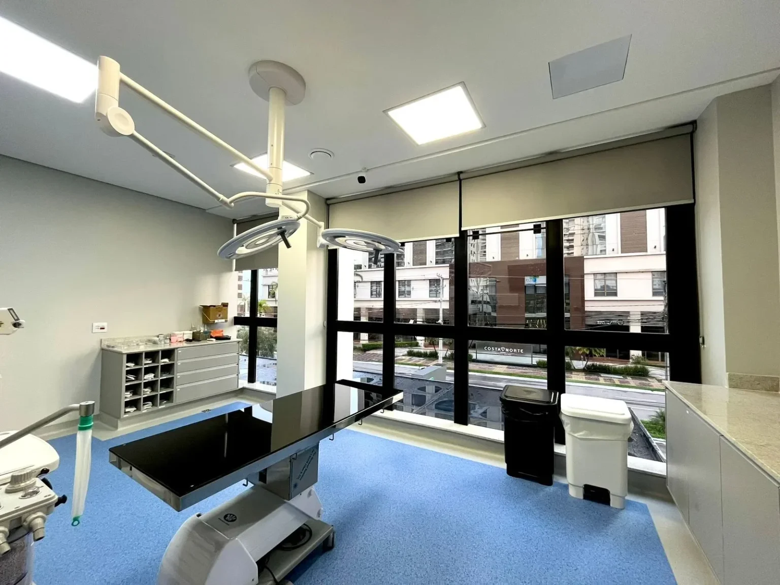 +Pet e VFP se Unem para Revolucionar o Setor de Saúde Veterinária no Brasil