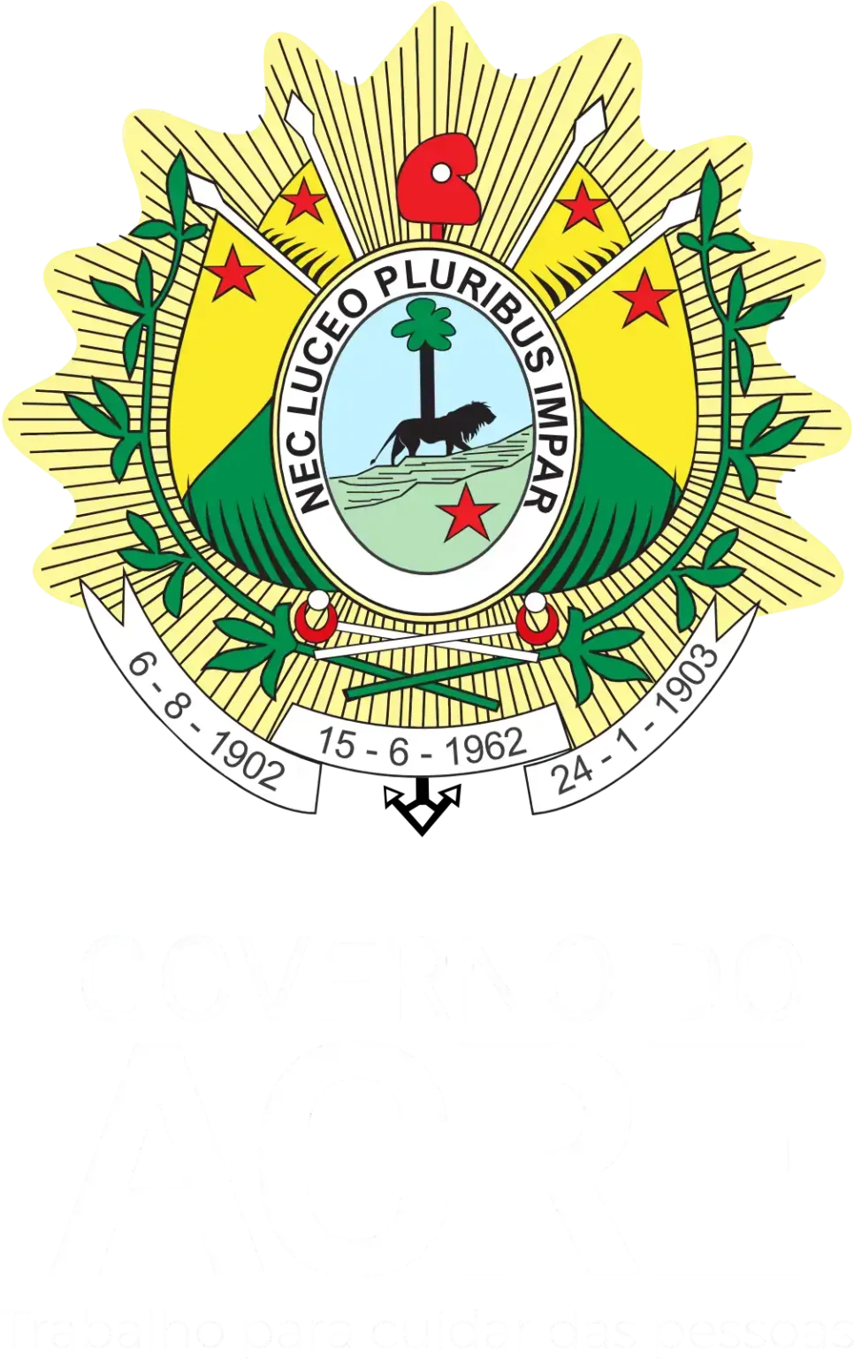 Programa Saúde na Floresta: Atendimento Acessível no Parque Estadual Chandless