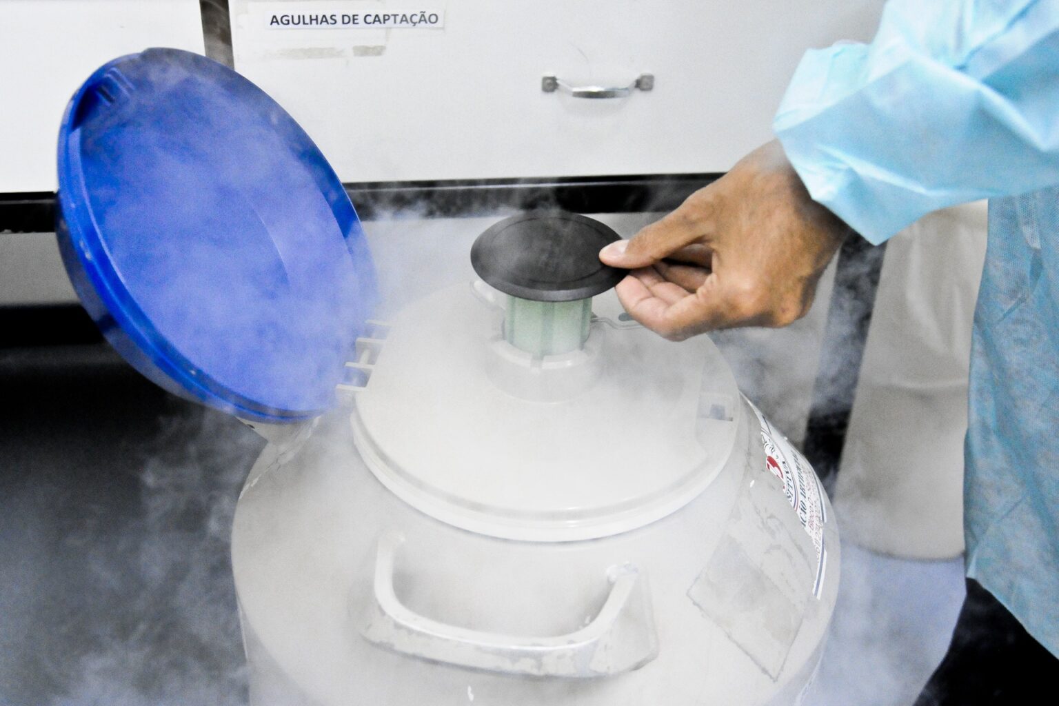 Ribeirão Preto: Capital da Reprodução Assistida no Brasil com 1 em Cada 6 Embriões Criopreservados