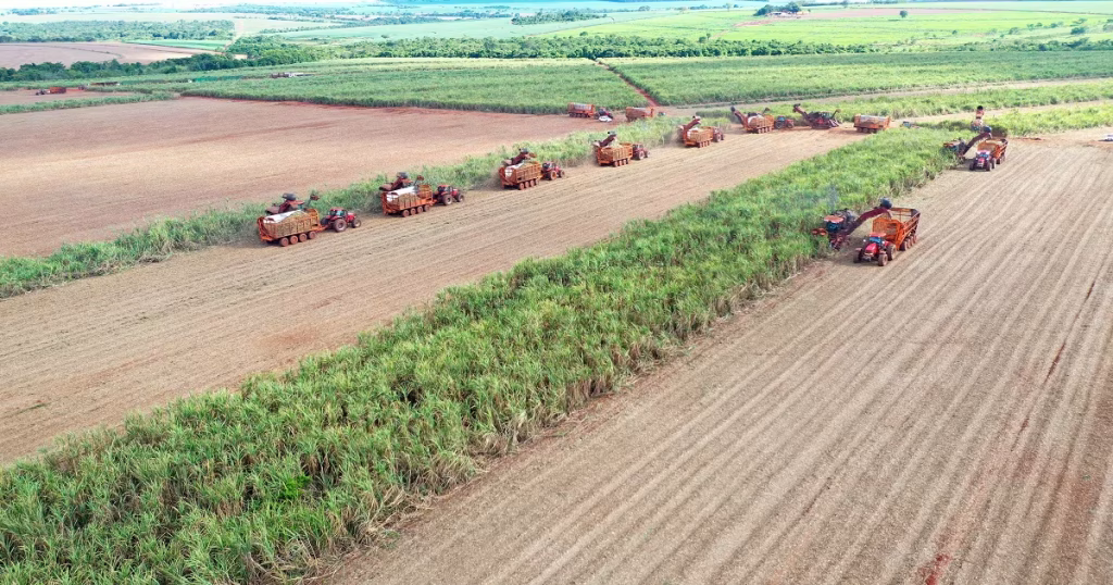 São Paulo Anuncia R$ 100 Milhões para Seguro Rural e Fortalecimento do Agronegócio
