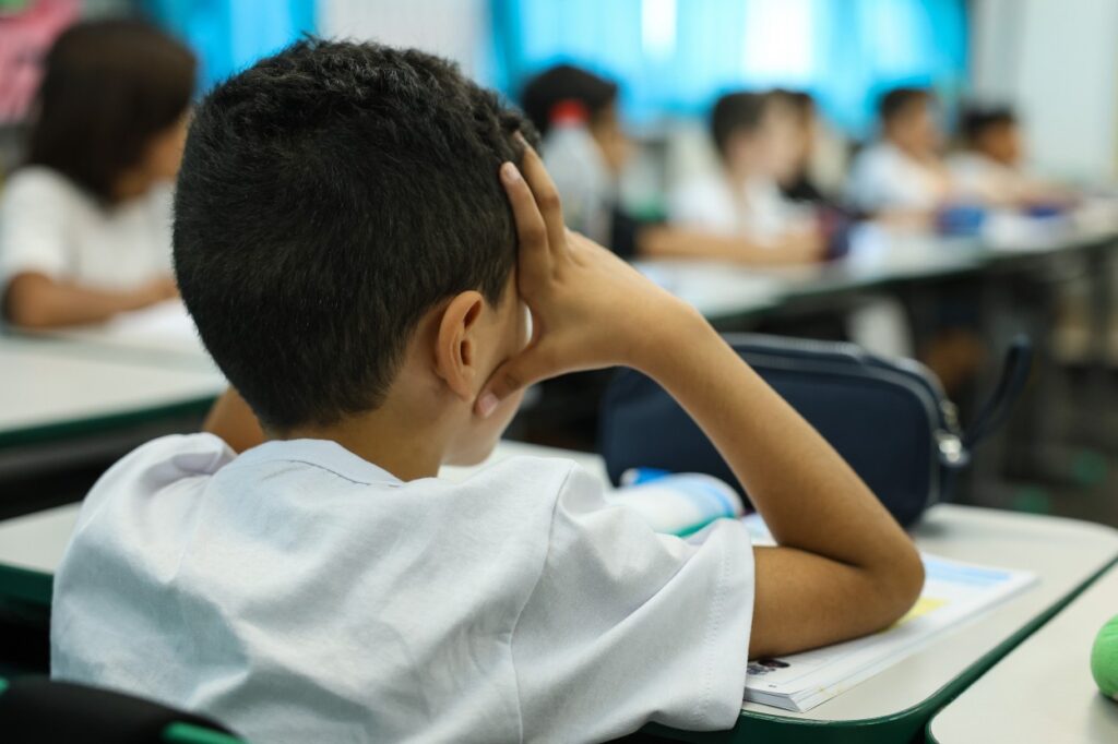 Transformação Educacional: Novas Metas do PNE Focam em Aprendizagem em vez de Acesso