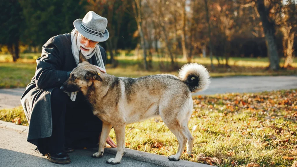 Animais de Estimação Melhoram Saúde e Bem-Estar dos Idosos, Revela Estudo da Unifran
