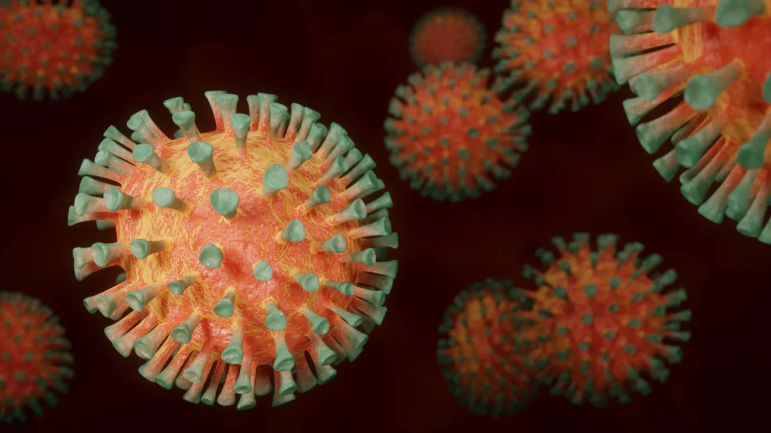 São Paulo descarta segundo caso suspeito de Ebola em 2026 e intensifica vigilância contra o vírus