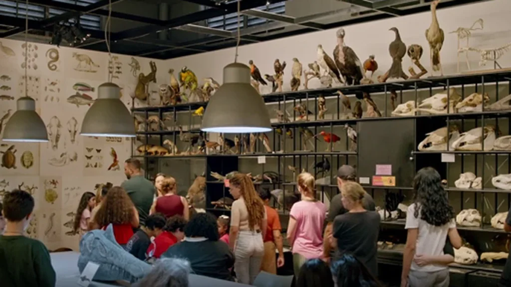 Museu de Zoologia da USP: Conheça os Bastidores do Acervo Científico em Série da TV Cultura Museu de Zoologia da USP: Conheça os Bastidores do Acervo Científico em Série da TV Cultura