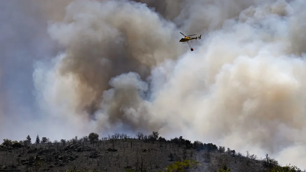 Incêndios florestais destroem 17 mil hectares na Europa em meio a calor extremo