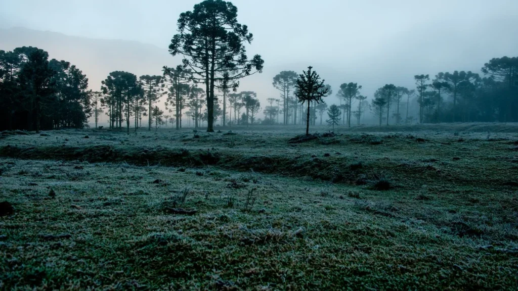 Mais frio e chuva acima da média: confira a previsão do clima no Brasil para julho 2026